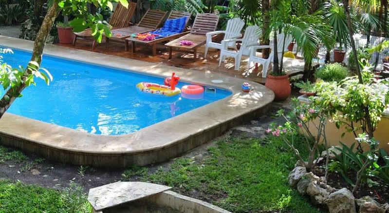 Koox City Garden Hotel 普拉亚卡门 外观 照片
